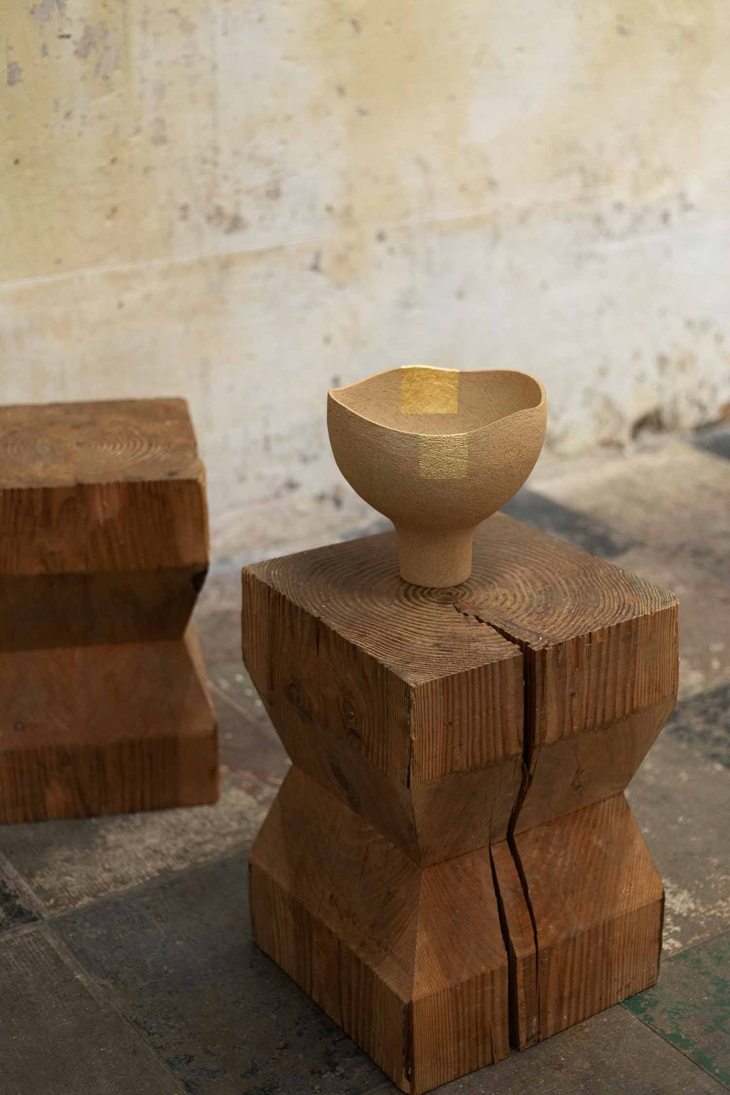 Vesna-Garic-Coupe-Grés-Or-Indi